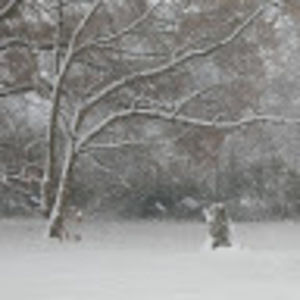 Meet your Posher, Derek